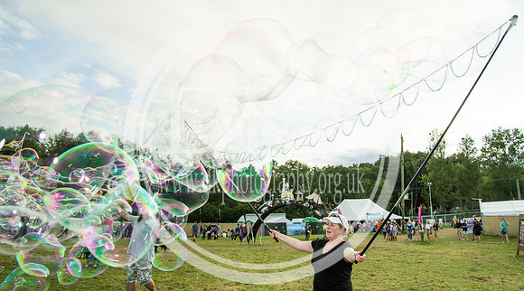 Bestival 2016