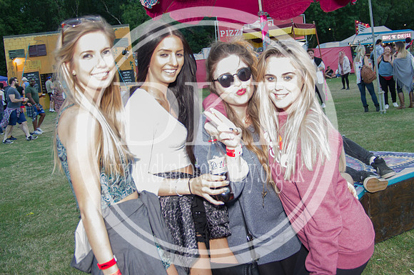 Bestival 2016