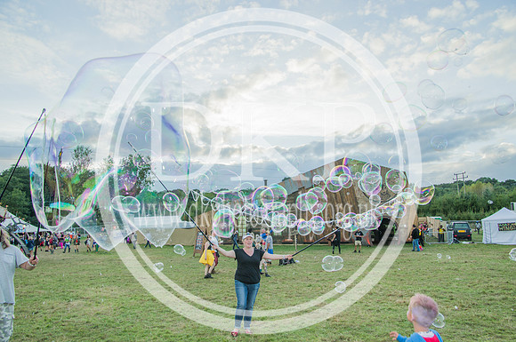 Bestival 2016