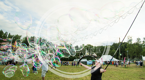 Bestival 2016